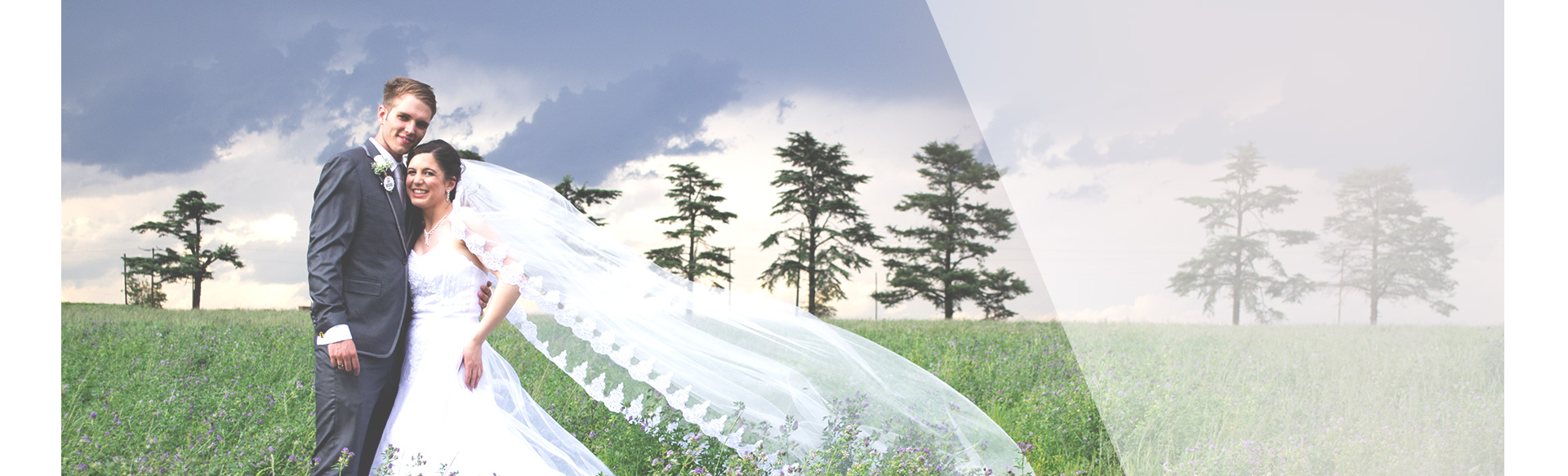 gallery-banner