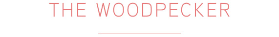 venue-woodpecker-title